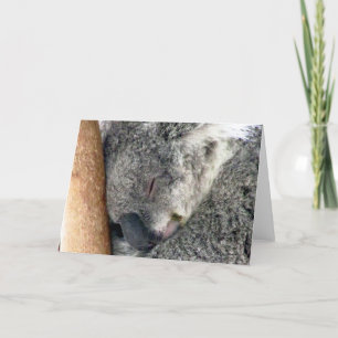 koala sleeps card