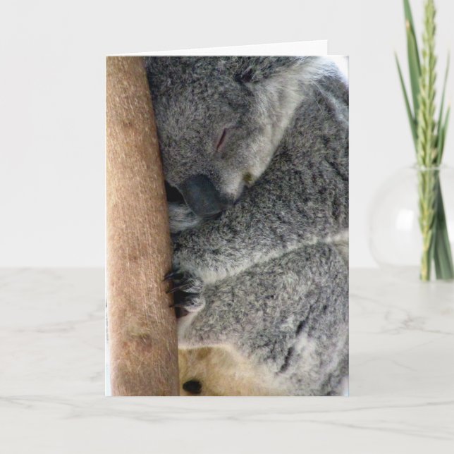 koala sleepy card (Front)