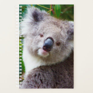 Koala Small Soft Cover, White Spiral Planner