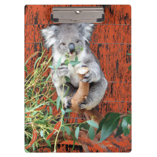 Koala Snack Time Clipboard