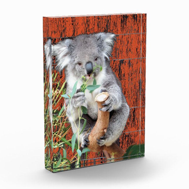 Koala Snack Time Photo Block (Left)