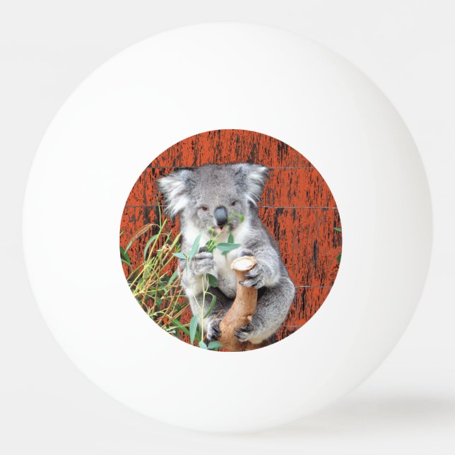 Koala Snack Time Ping Pong Ball (Front)