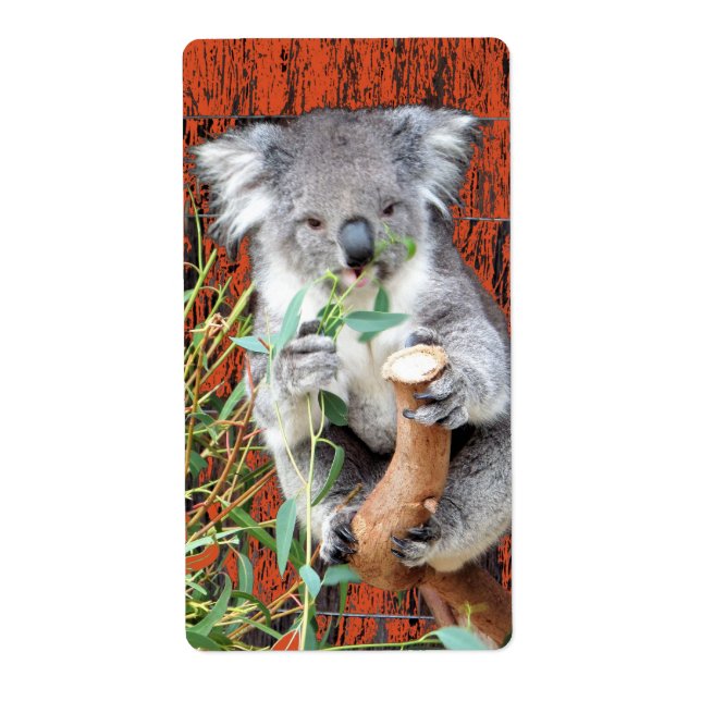 Koala Snack Time Return Address Label (Front)