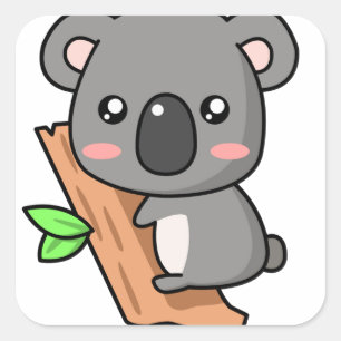 Koala square stickers