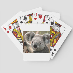 koala un animal unico playing cards