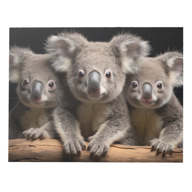 Koala Wild Animal Portrait Nature Beauty Notepad (Front)