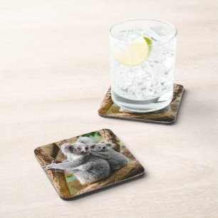 Koala with Baby in a Tree in Australia Coaster