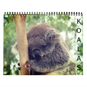 koalas 2026 calendar