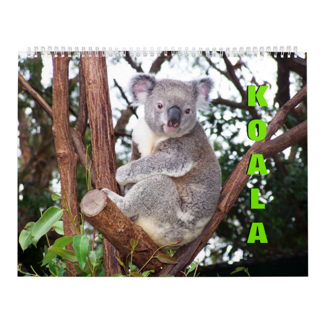 Koalas Calendar (Cover)