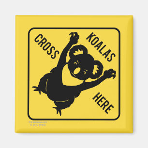 Koalas Cross Here Magnet
