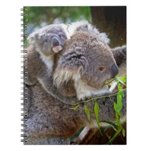 Koalas Notebook