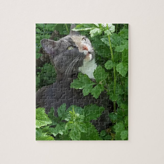 Kobayashi in the Green Jigsaw Puzzle (Vertical)