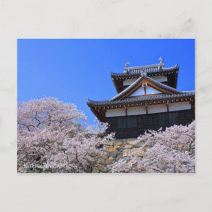 Kobiyama Castle [Postcard] Postcard