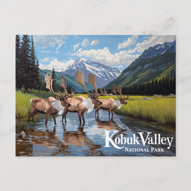 Kobuk Valley Caribou Herd Alaska Art Postcard (Front)