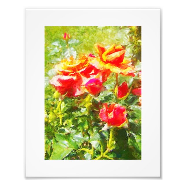 KODAK Print Orange Roses (Front)