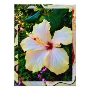 Kodak Professional Photo Paper (Satin) Photo Enlar Print