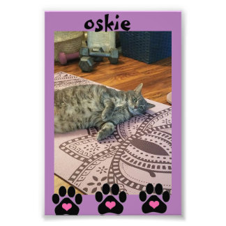 Kodak Professional Photo Paper (Satin) Print