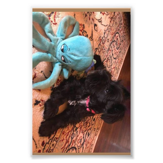 Kodak Professional Photo Paper (Satin) Print (Front)