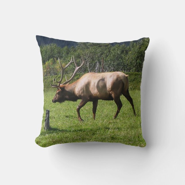 Kodiak, Alaska Elk Outdoor Photo Designed Fancy Cushion (Front)