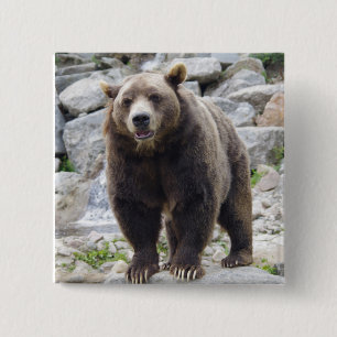 Kodiak bear 15 cm square badge