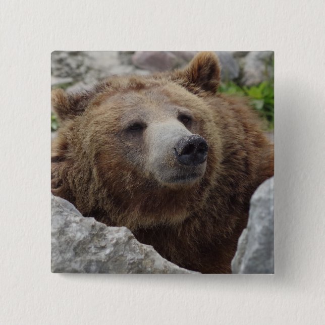 Kodiak Bear 15 Cm Square Badge (Front)