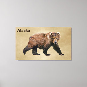 Kodiak Bear Canvas Print