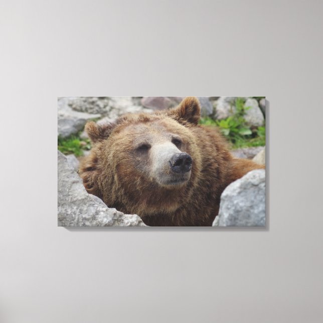 Kodiak Bear Canvas Print (Front)