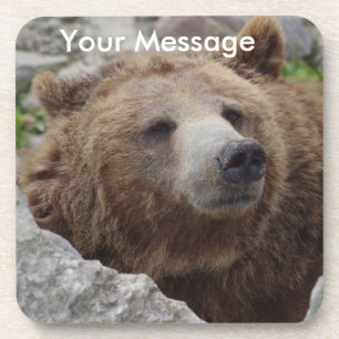 Kodiak Bear Coaster