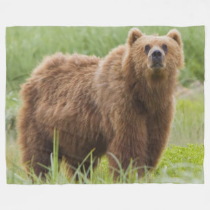 KODIAK BEAR FLEECE BLANKET
