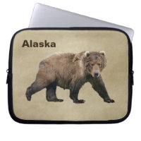 Kodiak Bear