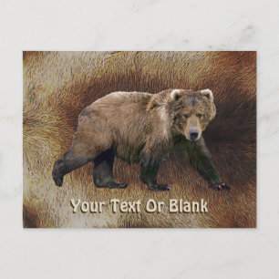 Kodiak Bear On Caribou (Reindeer) Fur Postcard