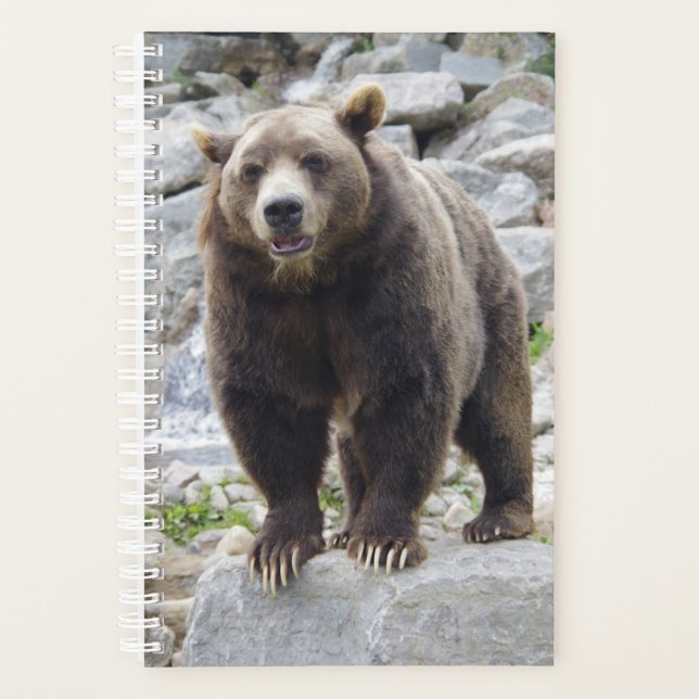 Kodiak Bear Planner (Front)