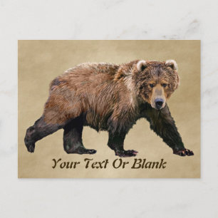 Kodiak Bear Postcard
