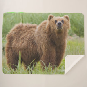 KODIAK BEAR SHERPA BLANKET