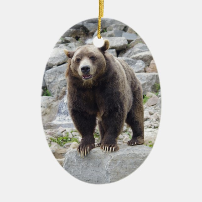 Kodiak Bear Standing on a Rock Ceramic Tree Decoration (Front)