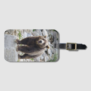 Kodiak Bear Standing on a Rock Luggage Tag
