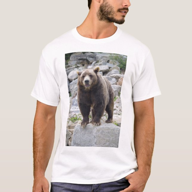 Kodiak Bear T-Shirt (Front)
