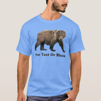 Kodiak Bear
