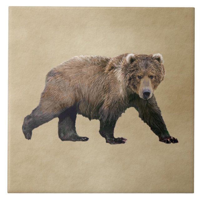 Kodiak Bear Tile (Front)