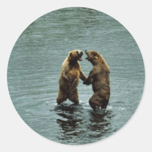 Kodiak brown bear classic round sticker