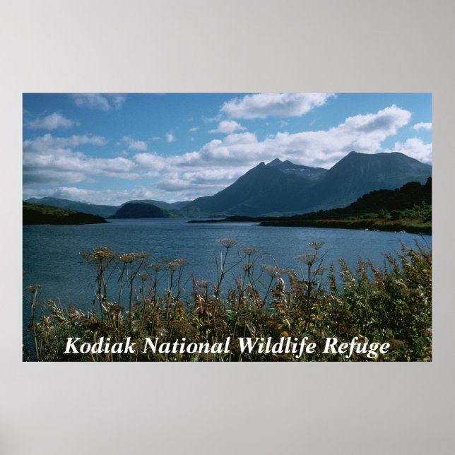 Kodiak National Wildlife Refuge Poster (Front)