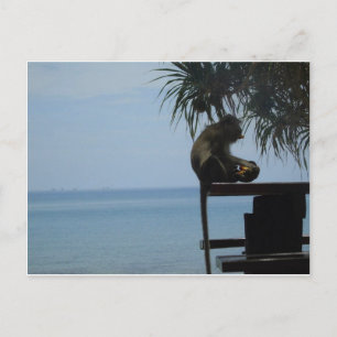 Koh Lanta Postcard