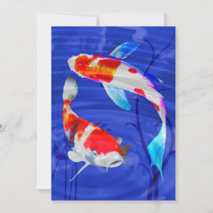 Kohaku Duo in Deep Blue Pond Invitation