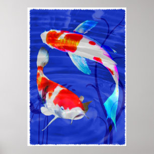 Kohaku Duo in Deep Blue Pond Poster
