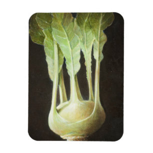 Kohl Rabi 2012 Magnet