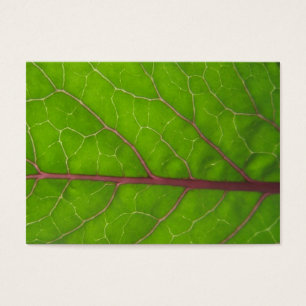 Kohlrabi Leaf ~ ATC