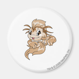 Koi Brown Magnet