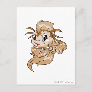 Koi Brown Postcard