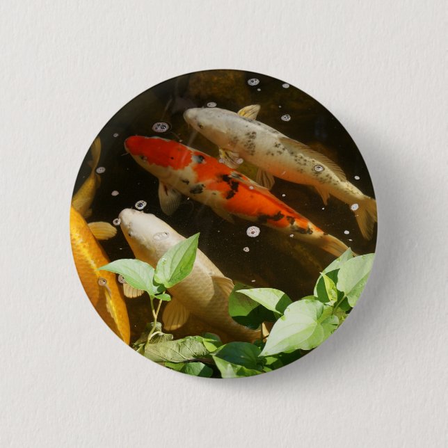 Koi button (Front)