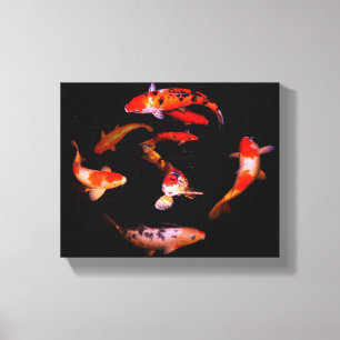 Koi Canvas Print